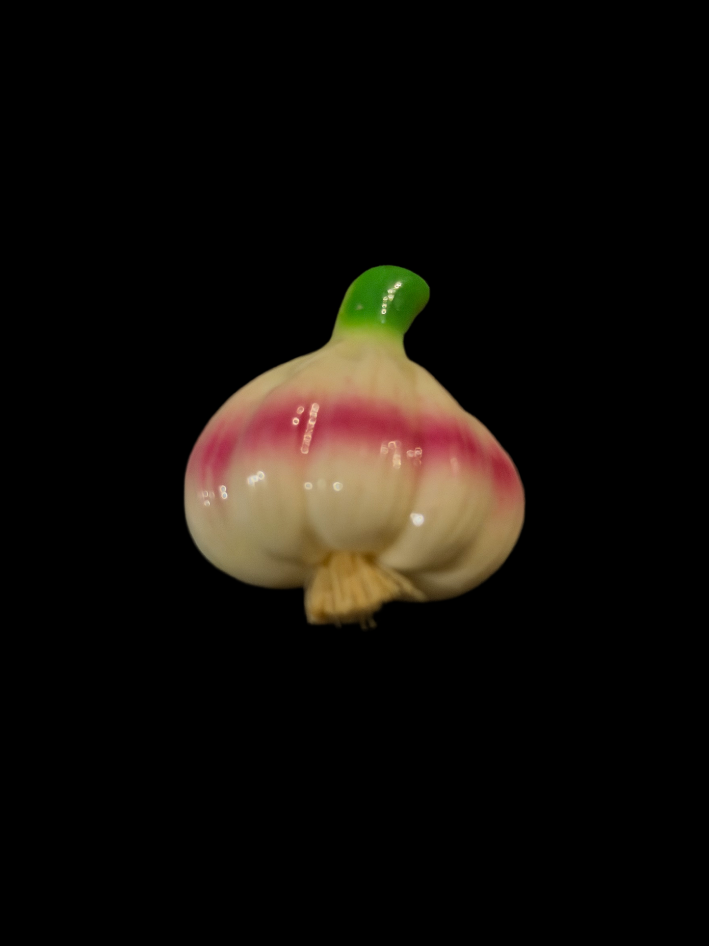 Garlic Kitchen Magnet