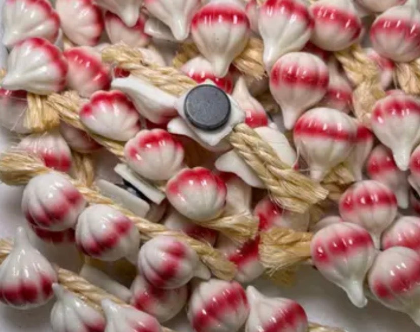 Garlic on rope magnet