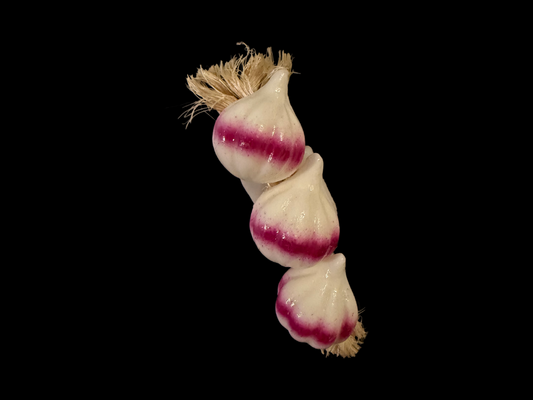 Garlic on rope magnet