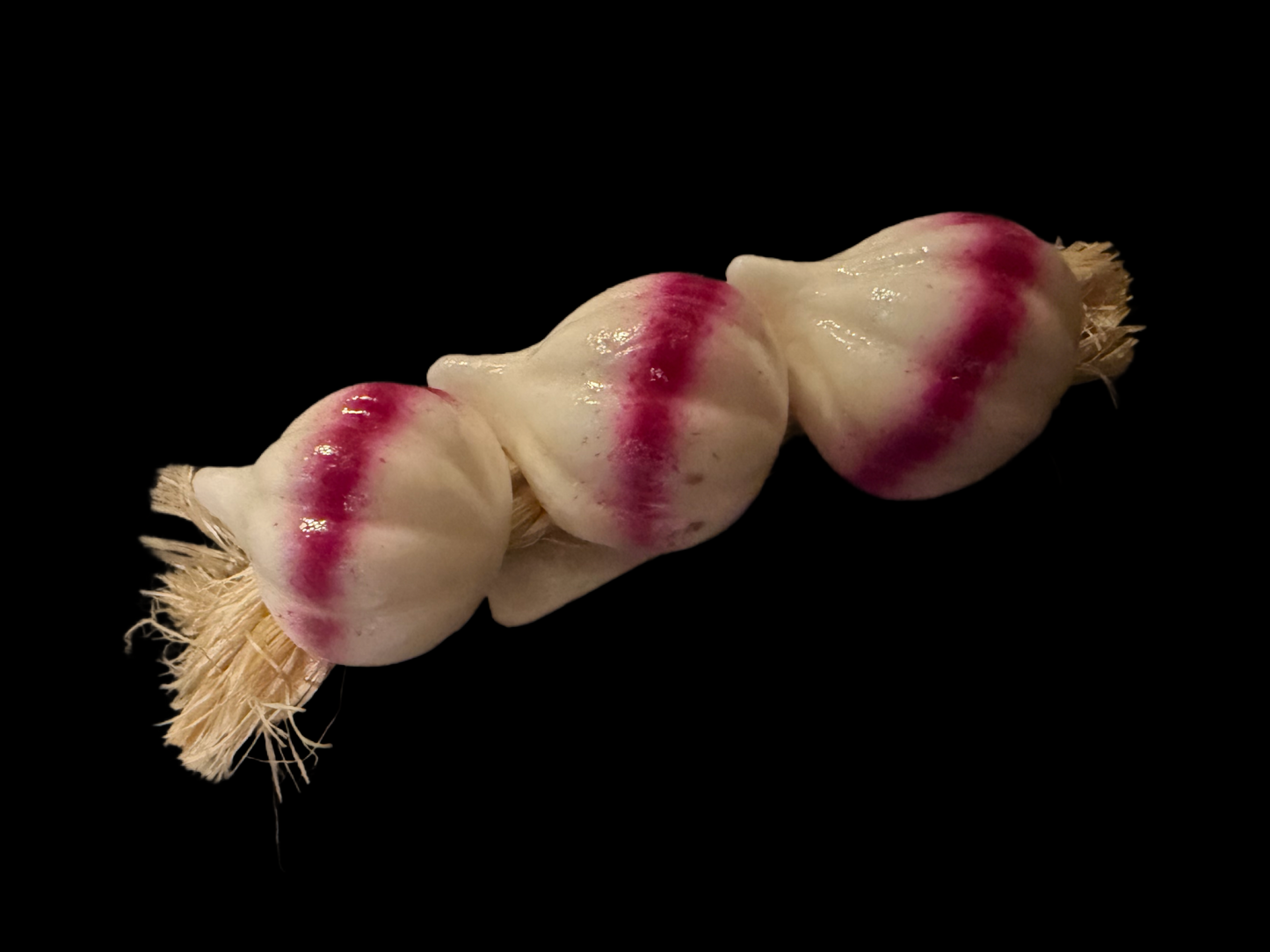 Garlic on rope magnet